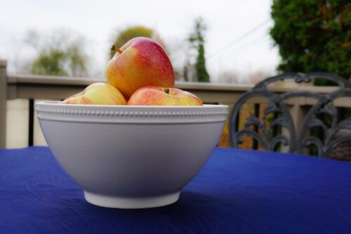 Eaton Fine Dining Noodle Bowl in the Casa pattern with apples inside