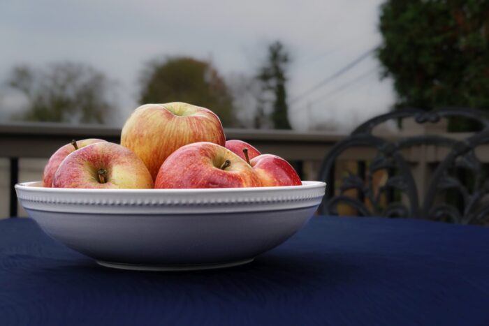 Eaton Fine Dining Pasta Bowl in the Casa pattern with apples inside